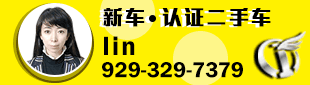 Auto Lin 9293297379