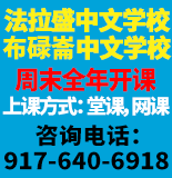 成龙 中文学校夏令营 917-640-6918