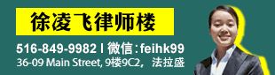 徐凌飞律师楼 516-849-9982