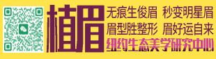眉毛微创植入 516-900-5888